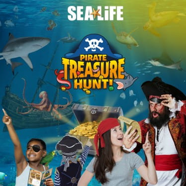Pirate Treasure Hunt at SEA LIFE Loch Lomond