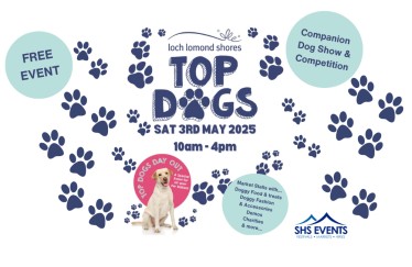 Top Dogs