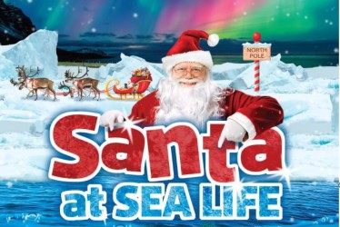 Meet Santa at SEA LIFE this Christmas!