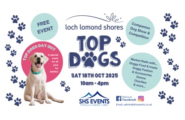 Top Dogs
