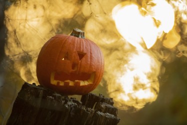 Big Wild Halloween Trail