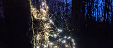 Illuminate RSPB Scotland Loch Lomond