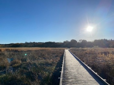 Sunrise Goose Walk at RSPB Scotland Loch Lomond