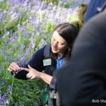 Hire a guide. Photo by Helen Pugh