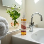 Curlew Cottage en-suite