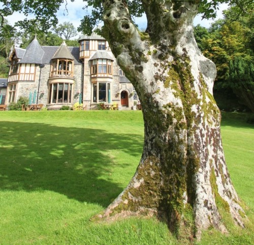 Afternoon Tea at Knockderry House
