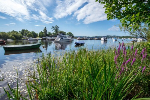 The Oak Tree Inn: Stay More, Save More