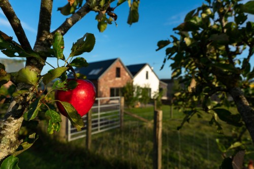 Autumn Breaks at East Cambusmoon Holiday Cottages